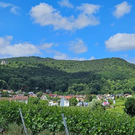 Pfälzerglück Direkt Am Rebenmeer Сasa de vacaciones Edesheim